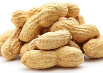 Guia Completo para o Cultivo de Amendoim: Dicas e Boas Práticas