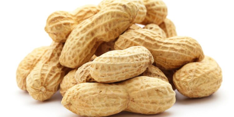 Guia Completo para o Cultivo de Amendoim: Dicas e Boas Práticas