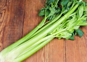 Aprenda a cultivar aipo em casa para ter hastes crocantes e frescas