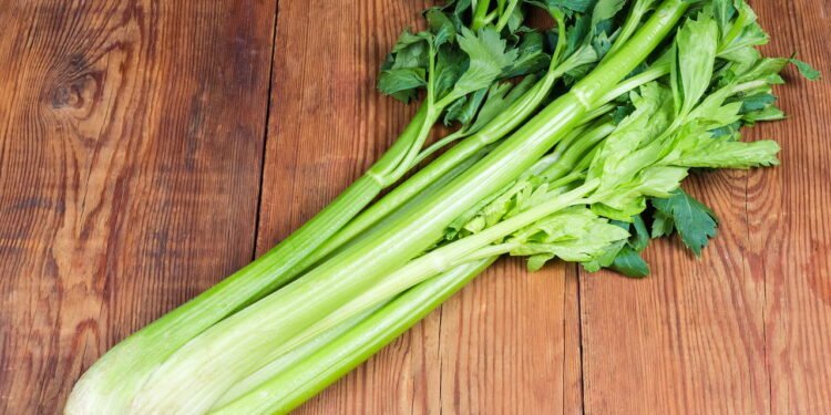 Aprenda a cultivar aipo em casa para ter hastes crocantes e frescas