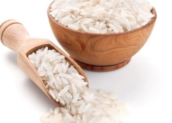 O que são os bichinhos que dão no arroz?