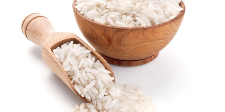 O que são os bichinhos que dão no arroz?