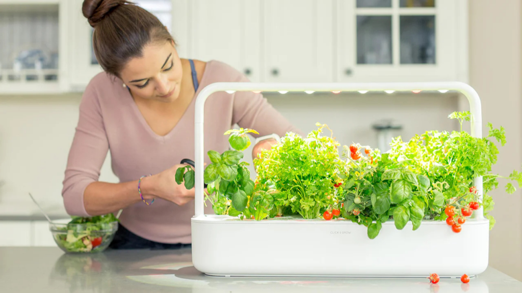 A mini horta perfeita para qualquer casa que é simples de montar e fácil de manter