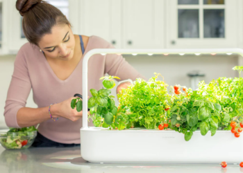 A mini horta perfeita para qualquer casa que é simples de montar e fácil de manter