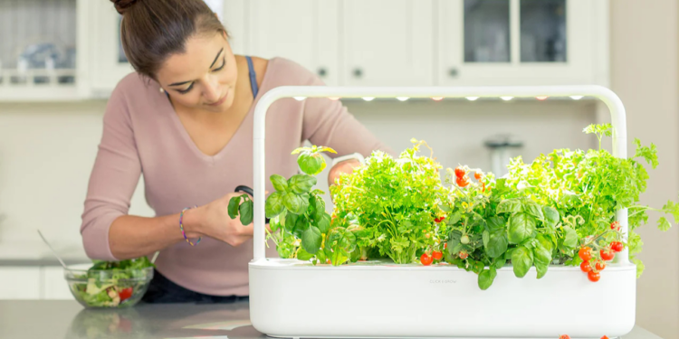 Click & Grow Smart Garden // Reprodução Click & Grow (Foto/Divulgação)