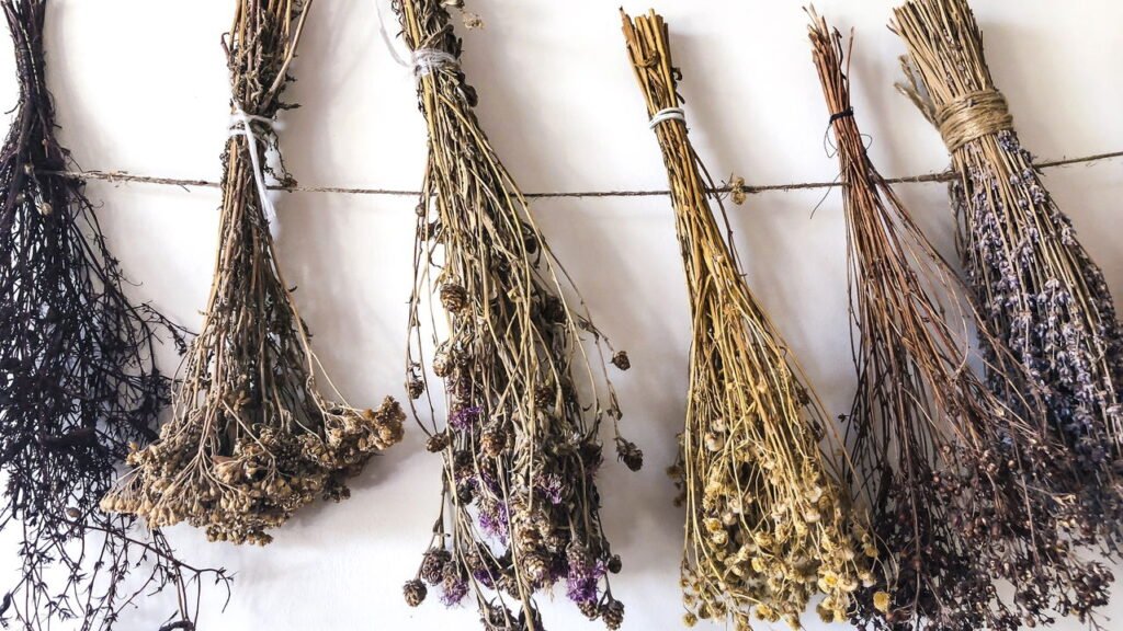 Monte seu kit de primeiros socorros natural e esteja preparado para imprevistos