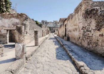 Conheça a cidade onde os cachorros têm direitos iguais aos humanos