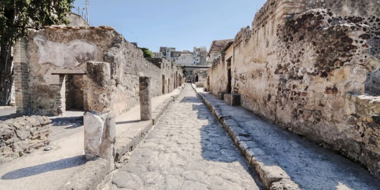 Conheça a cidade onde os cachorros têm direitos iguais aos humanos