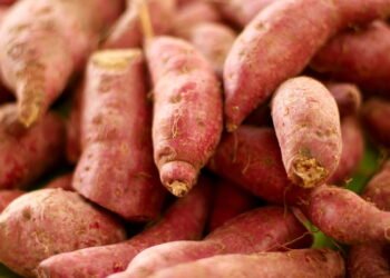 Aprenda a cultivar e aproveitar o inhame em sua horta caseira