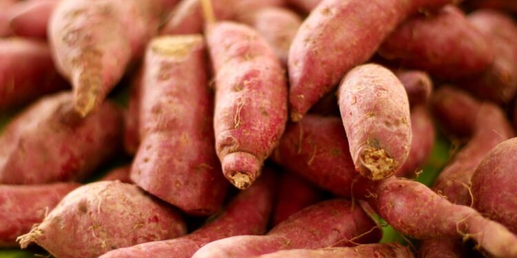 Potencial anti-inflamatório e alívio de processos infecciosos - Créditos: depositphotos.com / oilslo