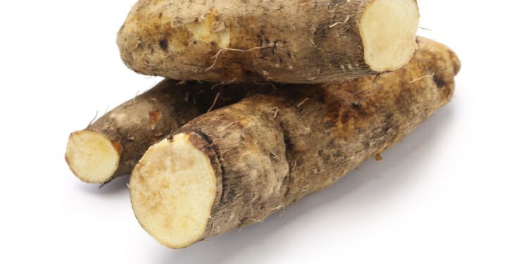 Aprenda a cultivar e aproveitar o inhame em sua horta caseira