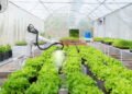 A inovação dos jardins interativos que conectam tecnologia e natureza