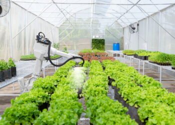 A inovação dos jardins interativos que conectam tecnologia e natureza