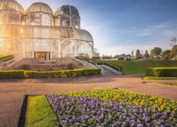 Essa abordagem simples pode mudar seu jardim para sempre