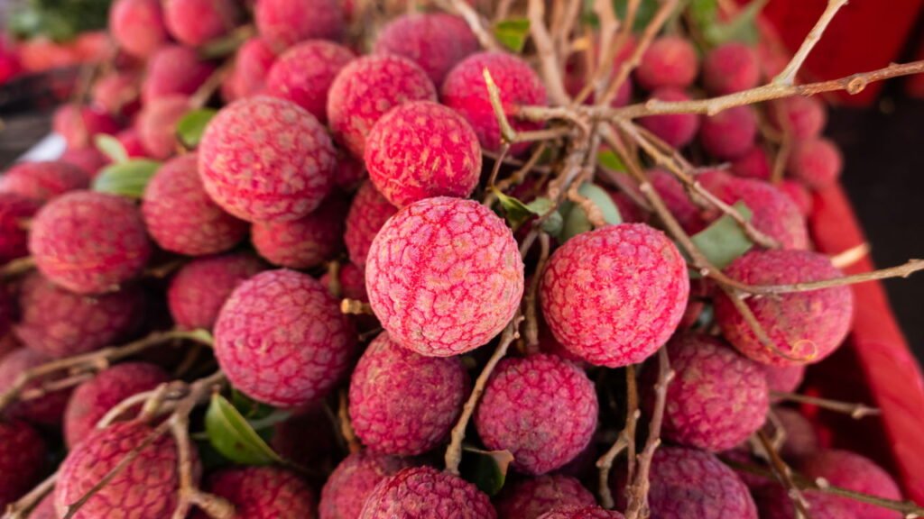 Lichia Créditos: depositphotos.com / elwynn