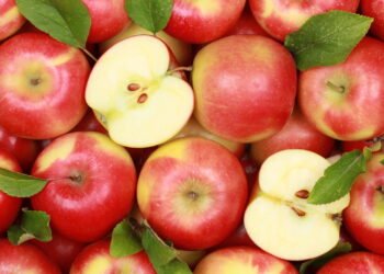 O guia completo para plantar maças usando as sementes