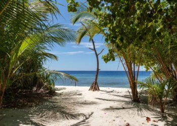 Conheça a cidade onde a água do mar brilha no escuro