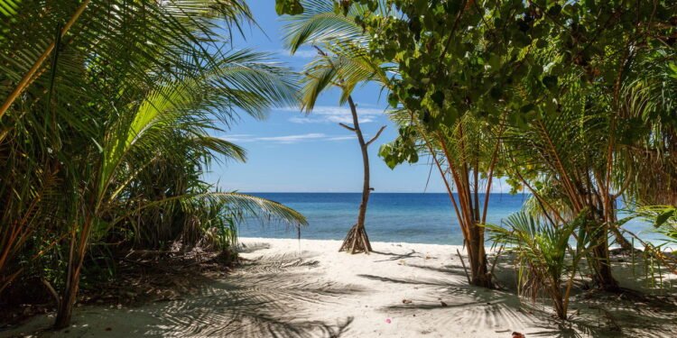 Conheça a cidade onde a água do mar brilha no escuro