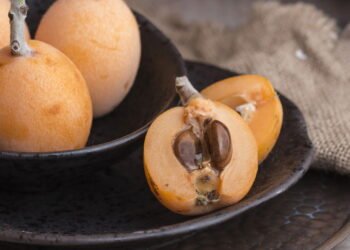 O guia de ouro para cultivar nêsperas em casa com essas dicas simples