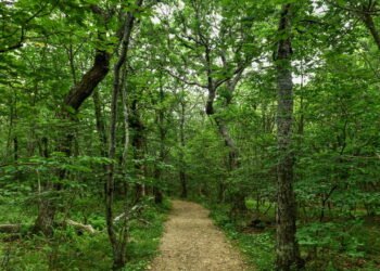 Conheça a cidade que foi criada apenas para espionar