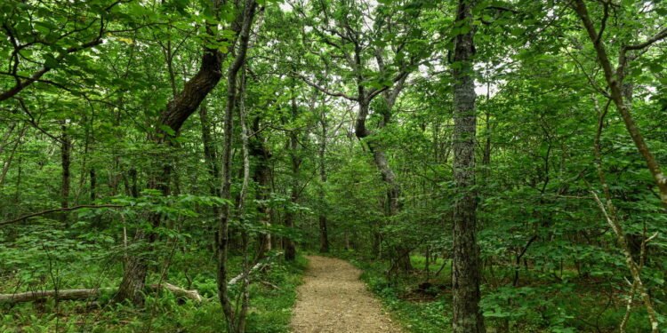 Conheça a cidade que foi criada apenas para espionar