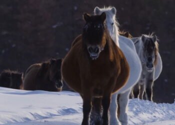 Como é viver em um lugar onde a temperatura chega a −70 °C?