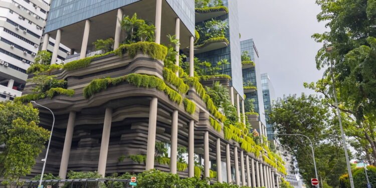 Cidades com mais plantas podem resolver um grande problema urbano