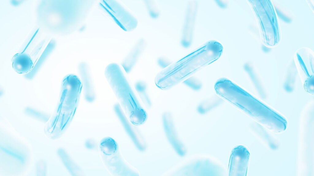 Um misterioso microrganismo que pode mudar a sua saúde intestinal