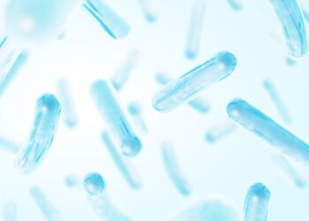 O papel dos probióticos no emagrecimento e na saúde intestinal