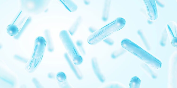 O papel dos probióticos no emagrecimento e na saúde intestinal