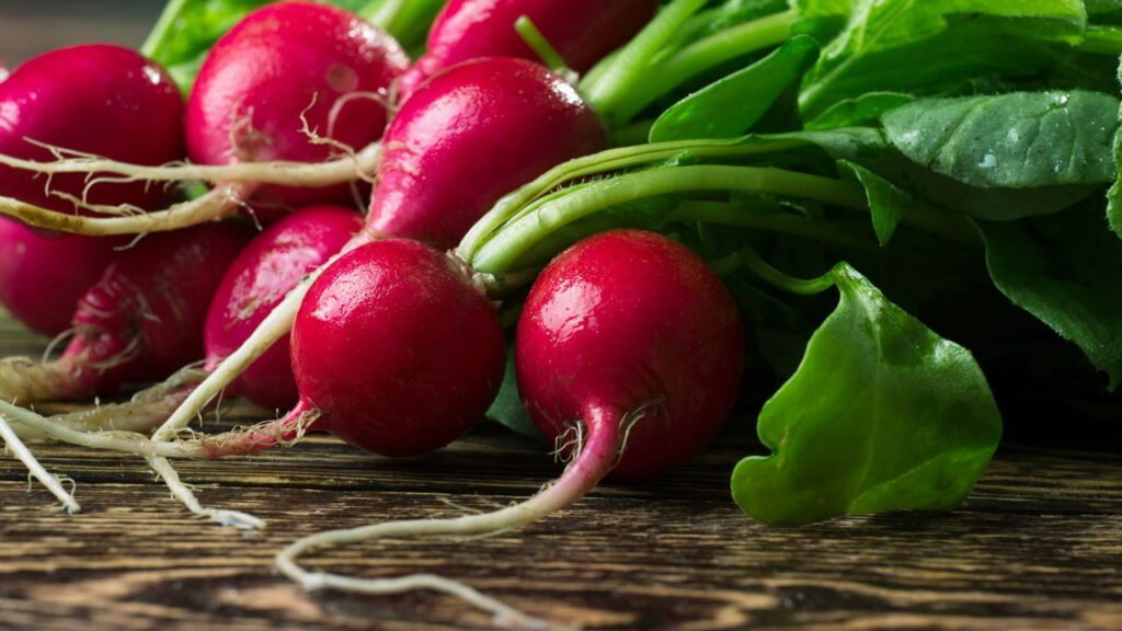 Rabanete na alimentação! Deliciosas formas de consumir rabanete branco e roxo