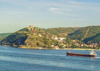 Conheça a cidade em que chove peixe durante tempestades