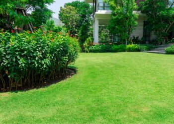 Como plantar grama e não ter mais problemas com seu jardim?