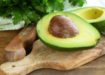 Como plantar abacate em casa