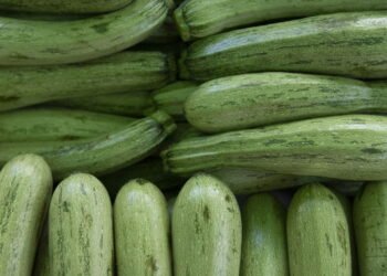 Como fazer abobrinha crescer rápido e com sabor incrível