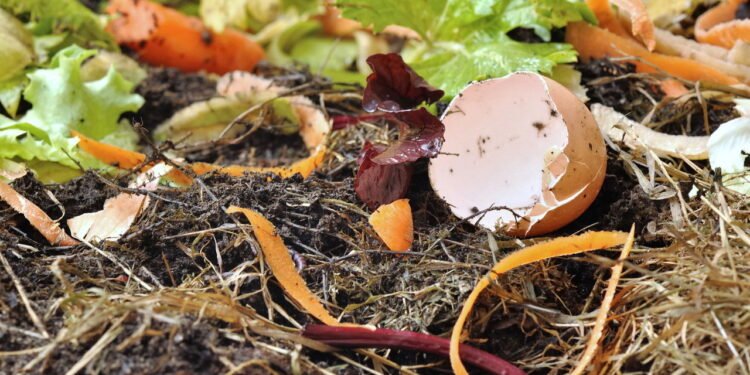 Adubo caseiro - Créditos: depositphotos.com / sanddebeautheil