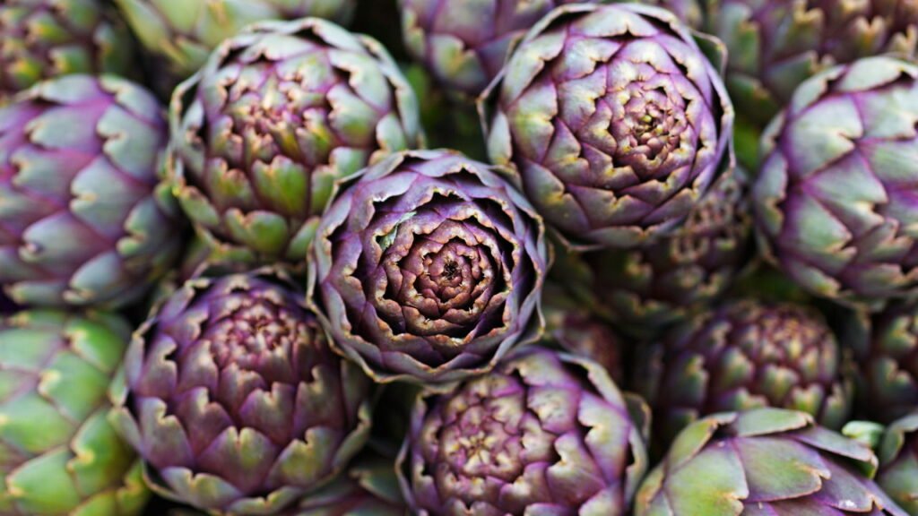 Tudo o que você precisa saber sobre o cultivo e preparo de alcachofras