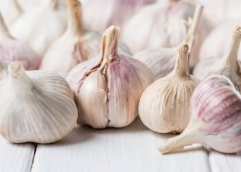 Cultivo de alho em casa: guia completo para uma colheita de sucesso