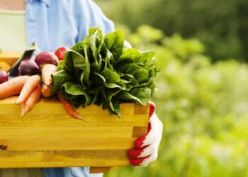 Quem é vegetariano está comemorando esta nova dieta com bons nutrientes!