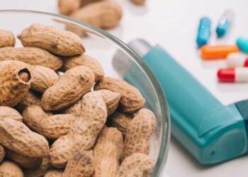 Passo a passo de como plantar amendoim em casa