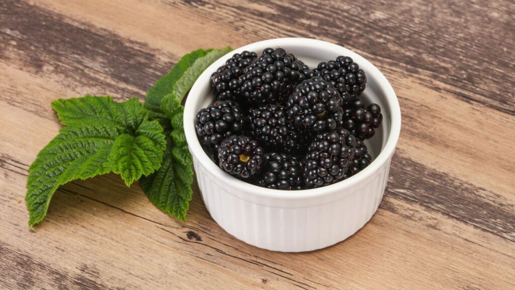 Dicas essenciais para cultivar amorinhas em climas diversos