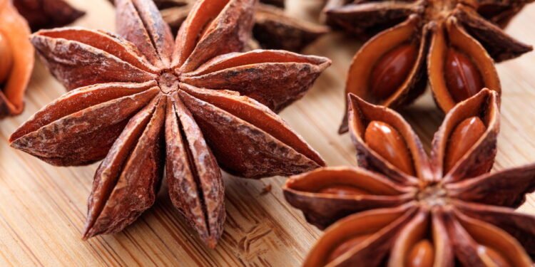 Anis-estrelado pode ser plantado em casa, veja dicas
