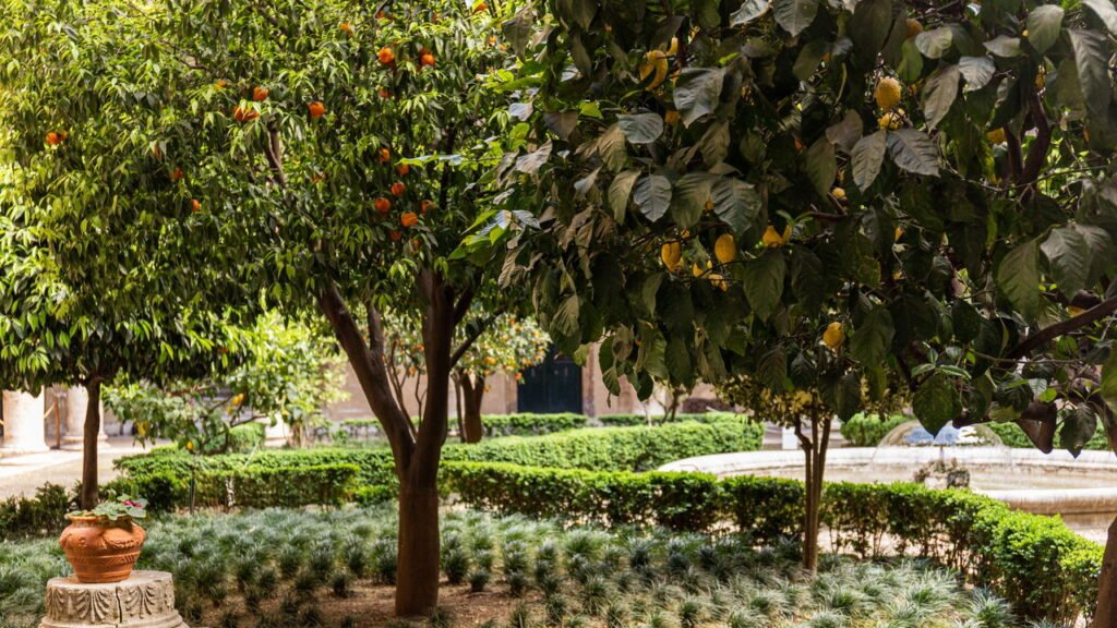 Saiba o momento ideal para podar cada tipo de árvore frutífera