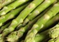 Dicas valiosas para o cultivo de aspargos no seu próprio jardim