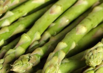 Dicas valiosas para o cultivo de aspargos no seu próprio jardim