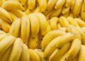 Aprenda a plantar bananeira e colha bananas frescas em poucos meses