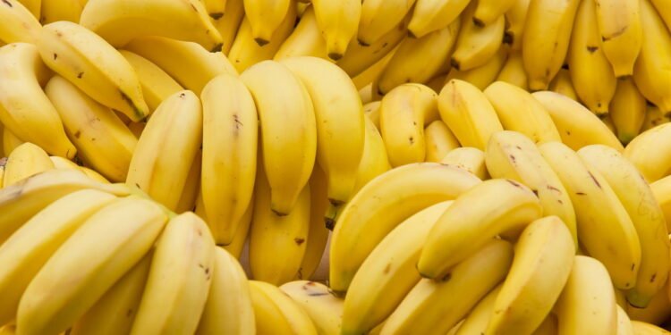 Aprenda a plantar bananeira e colha bananas frescas em poucos meses