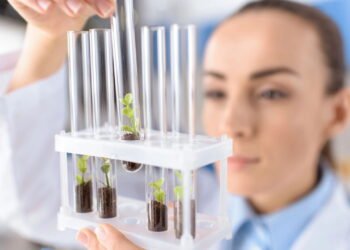 Plantas inteligentes? Como a Tecnoflora está revolucionando a ciência