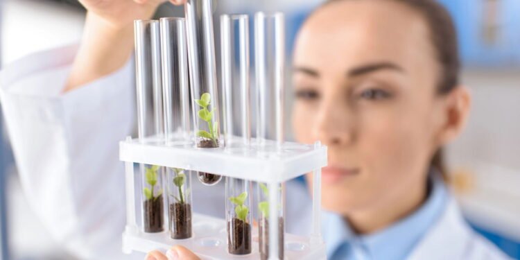 Plantas inteligentes? Como a Tecnoflora está revolucionando a ciência