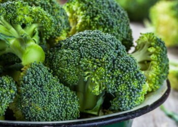 Como plantar brócolis em casa de um jeito simples